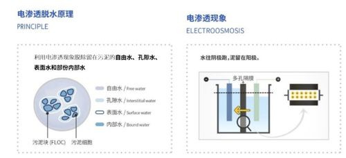 新環環保 污泥處置領域的技術創新與增值服務體系